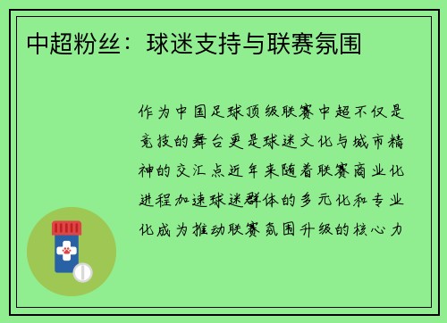 中超粉丝：球迷支持与联赛氛围